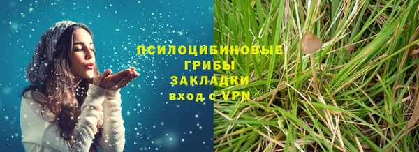 spice Алзамай